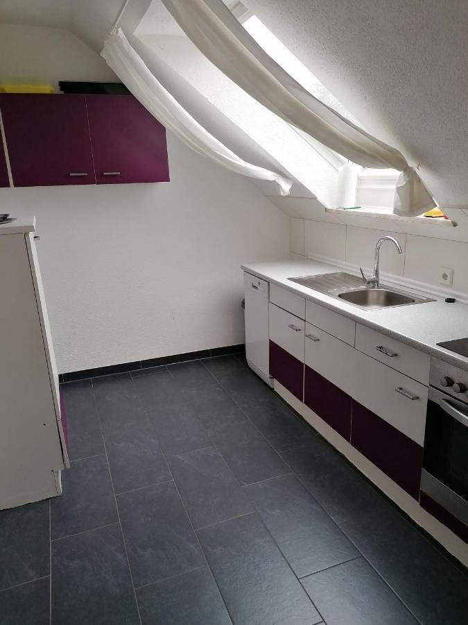 Ferienwohnung Mannes Lauingen Exterior foto